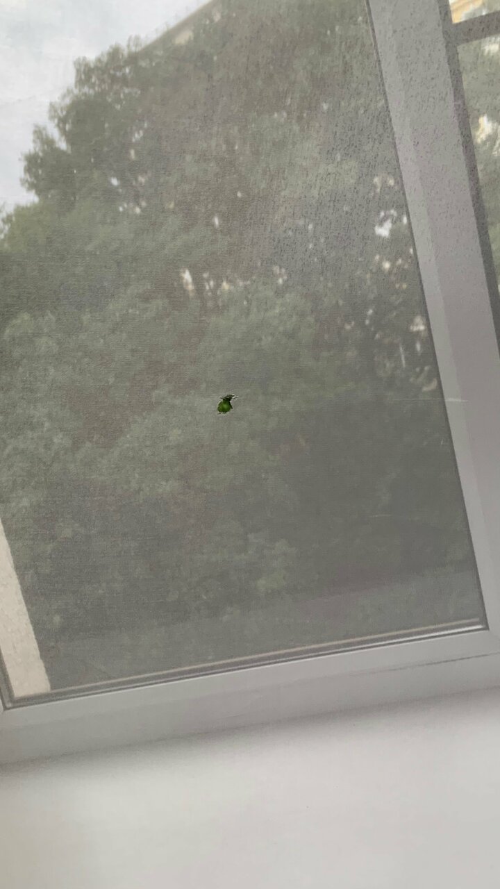 Гостиница Звездный Туапсе-106