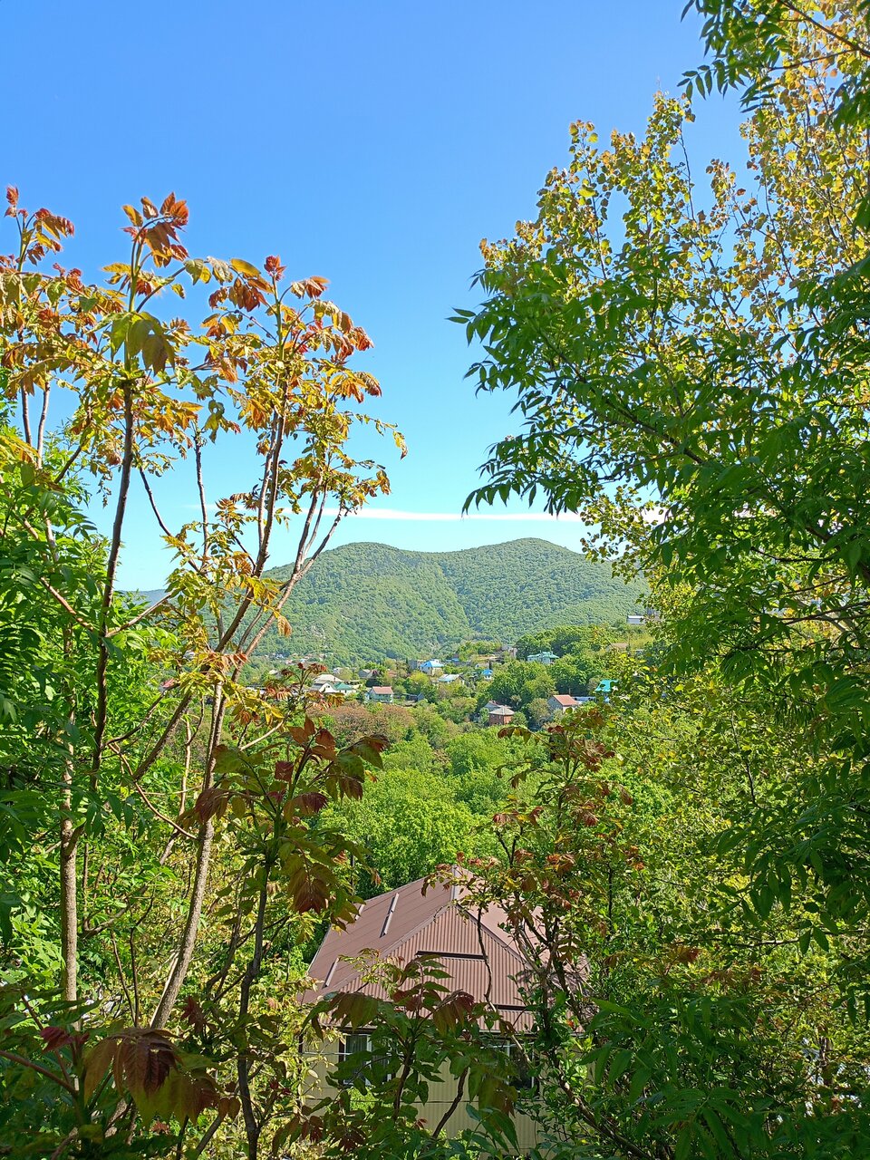 Гостиница Звездный Туапсе-81