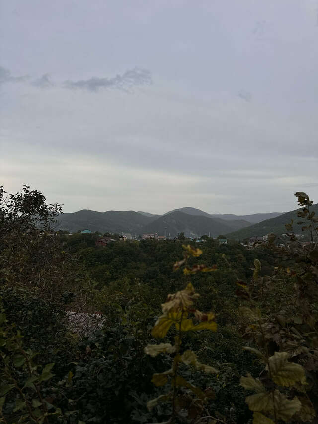 Гостиница Звездный Туапсе-104