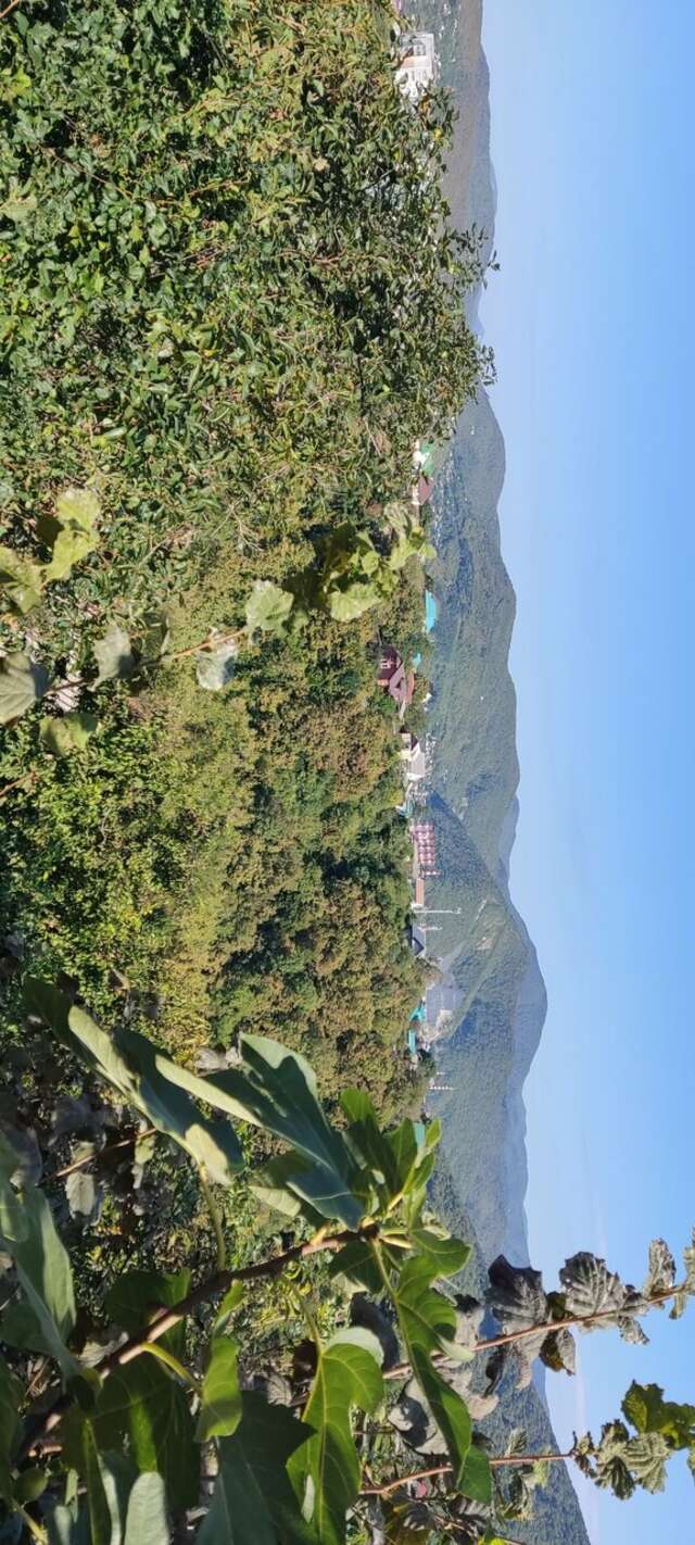 Гостиница Звездный Туапсе-68