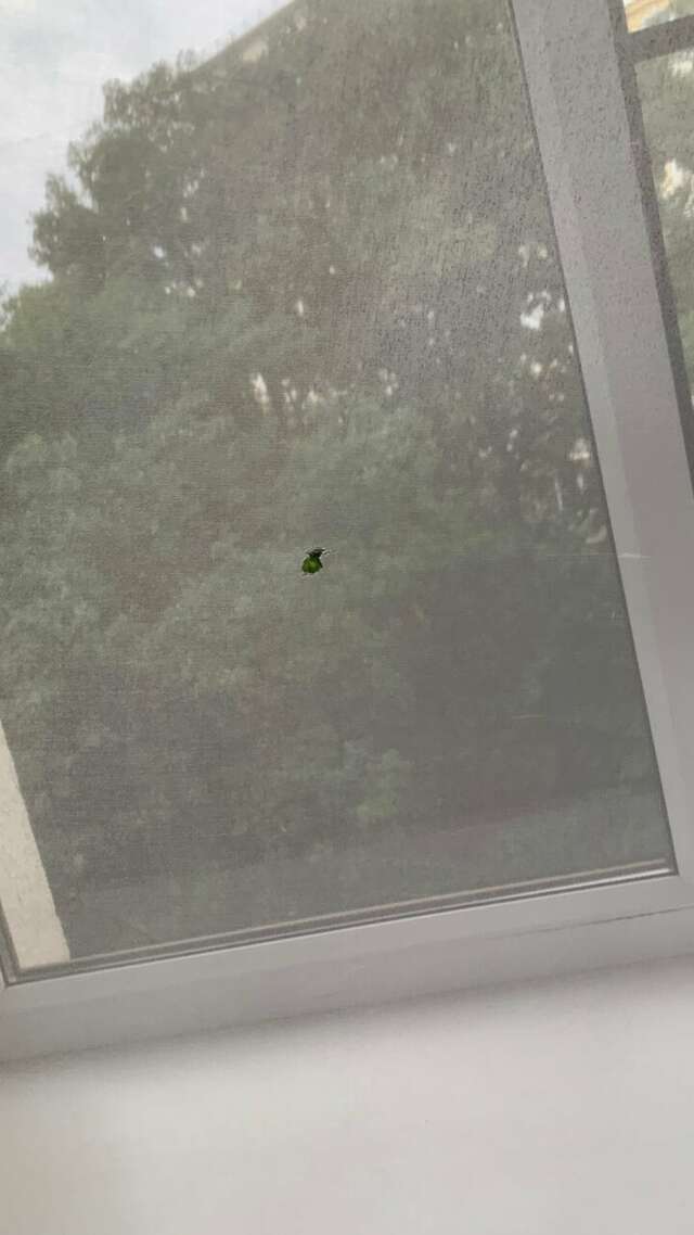 Гостиница Звездный Туапсе-105